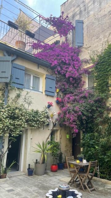 Le Rouget Beaucaire (Gard)