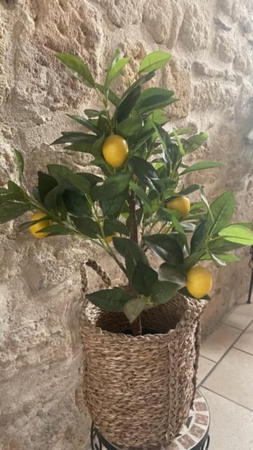 Apartment Le Rouget
